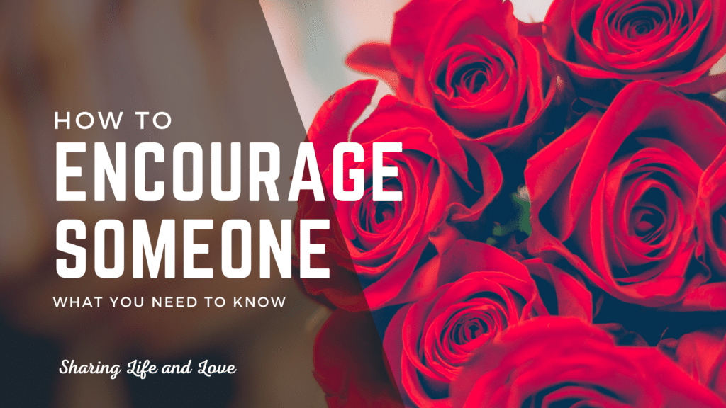 how to encourage someone - red roses