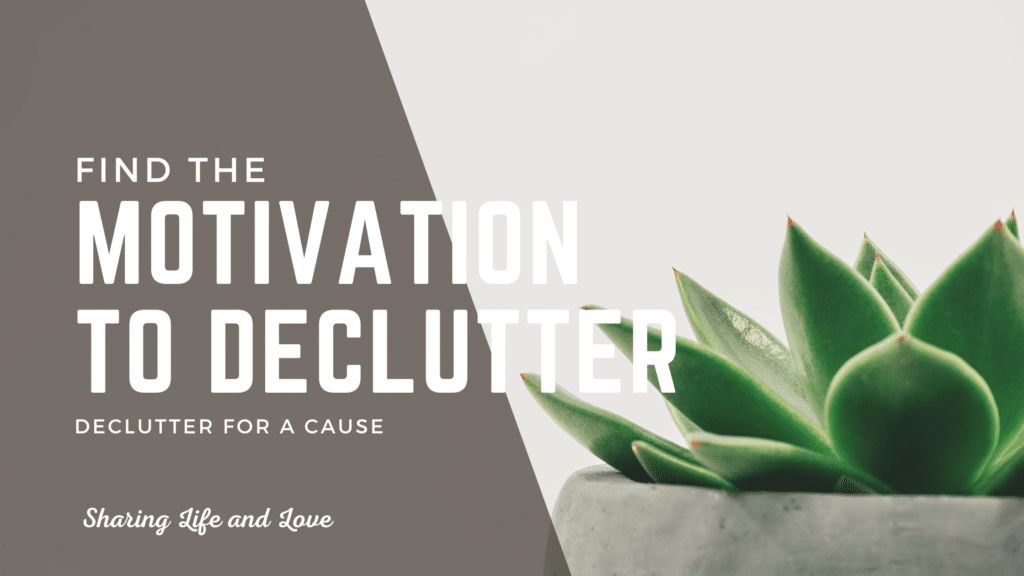 32 - declutter for a cause - motivation to declutter - plant and minimalist background