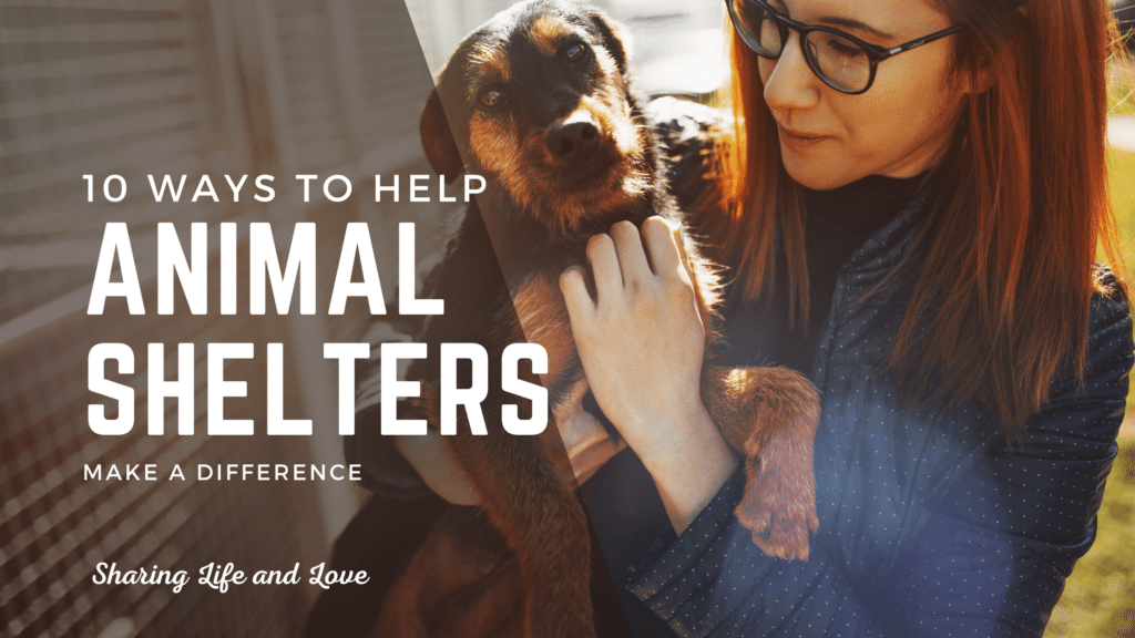 48 - help animal shelters - woman with dog