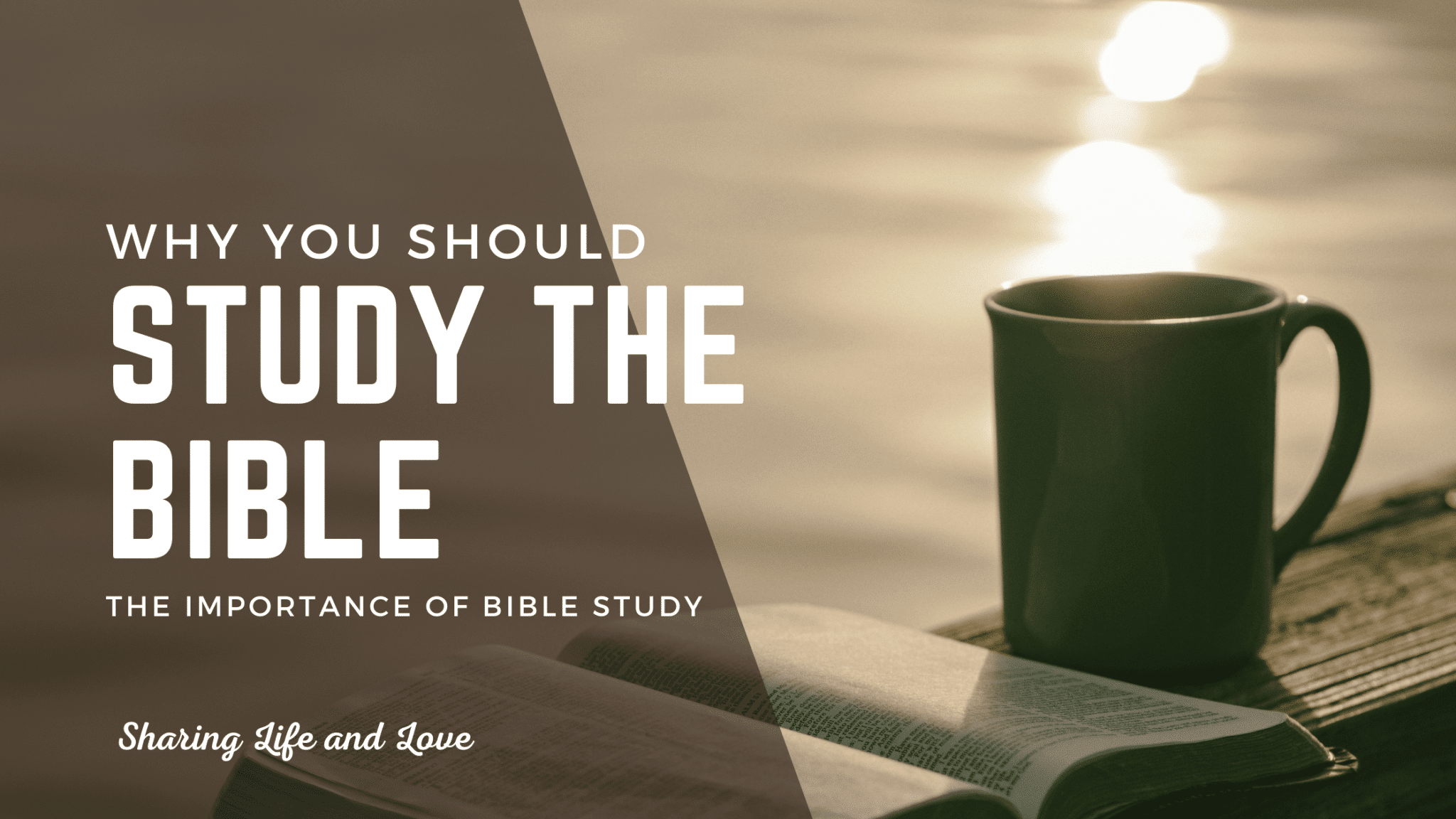 Why Study The Bible? The Importance Of Bible Study (Top 10 List ...