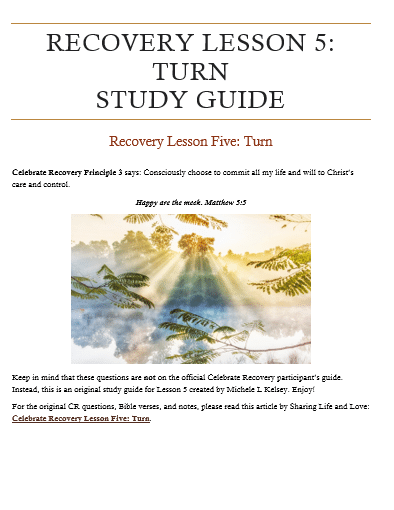 Recovery Lesson 5 - Turn Study Guide