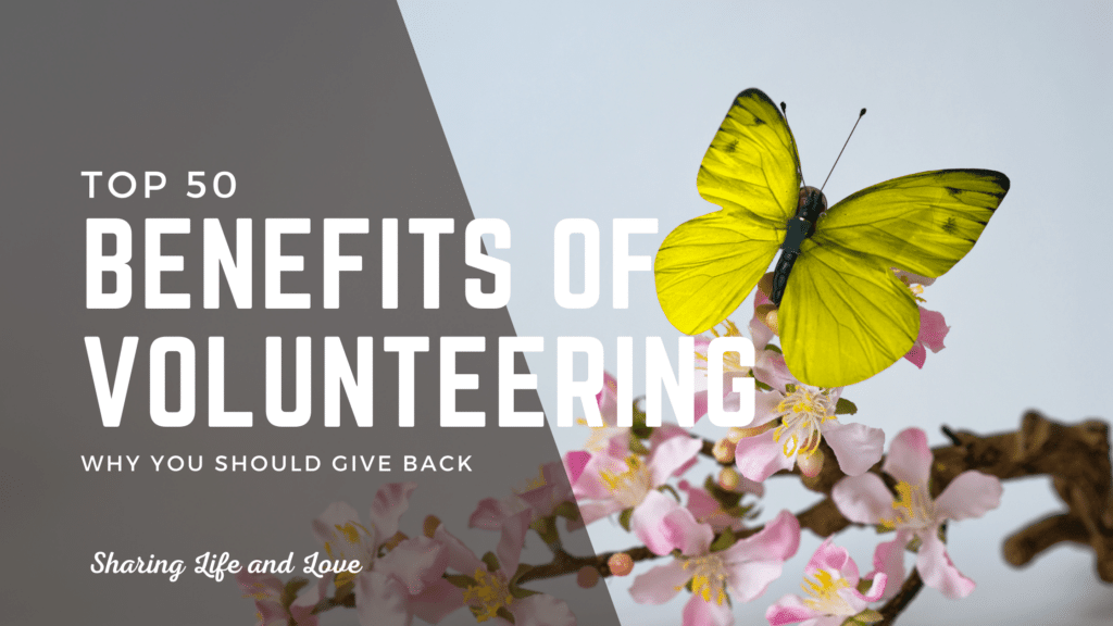 benefits of volunteering - butterfly