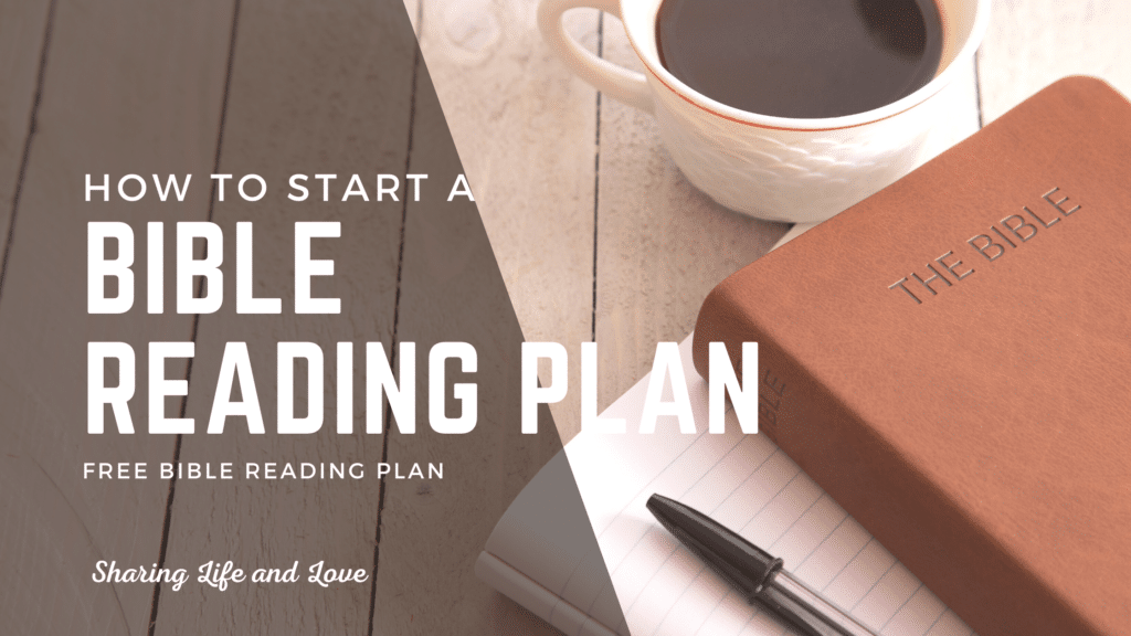 90 - start a bible reading plan