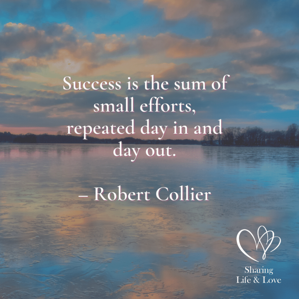 " Success is the sum of small efforts. repeated day in and day out." 
Robert Collier