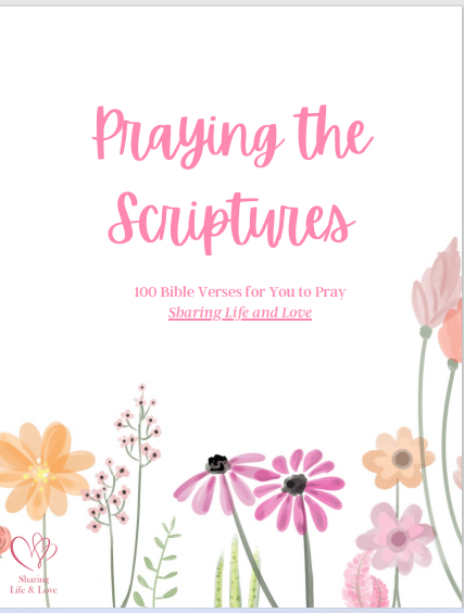praying the scriptures e book cover