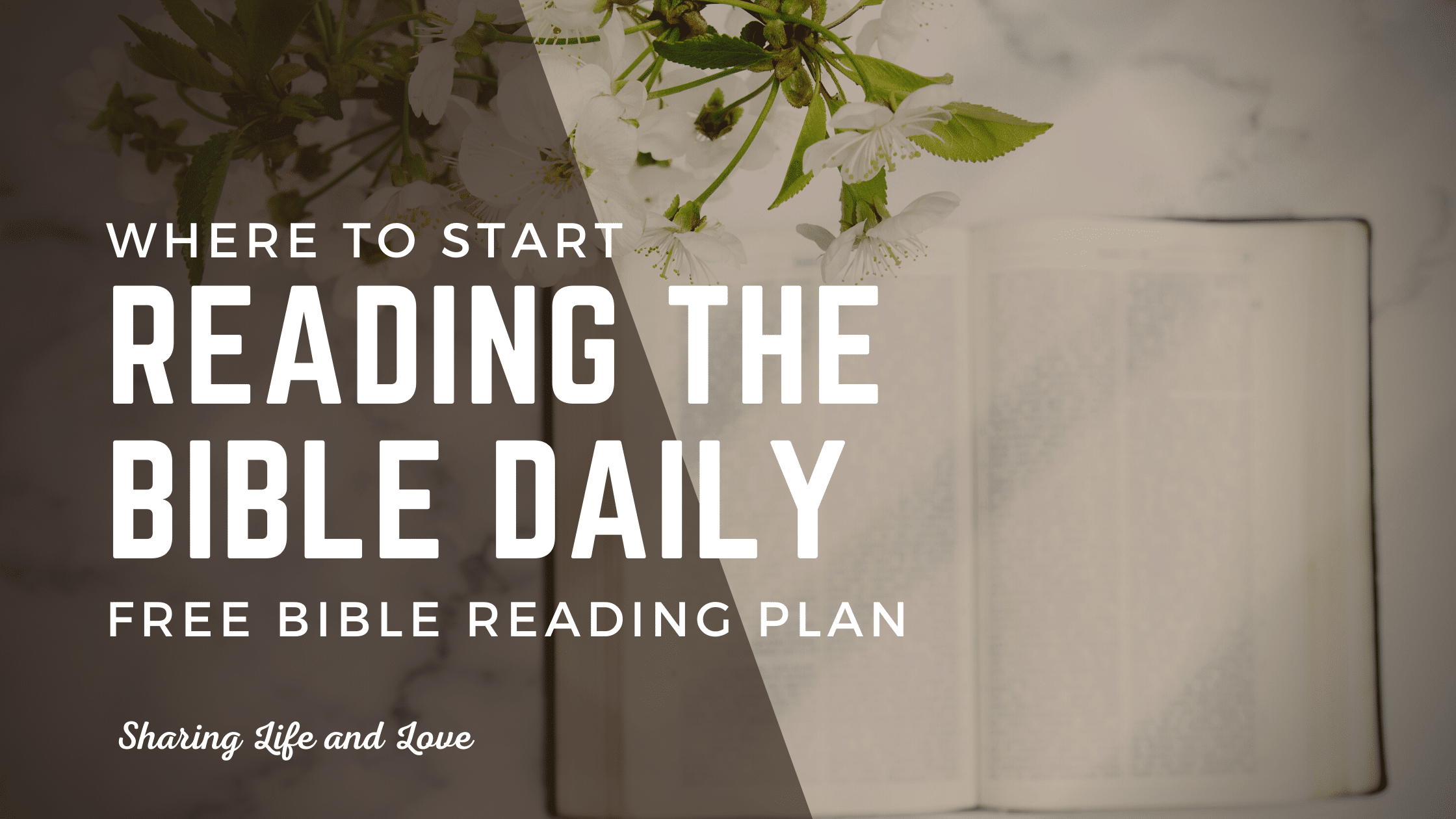 where-to-start-reading-the-bible-daily-5-genius-places-sharing-life