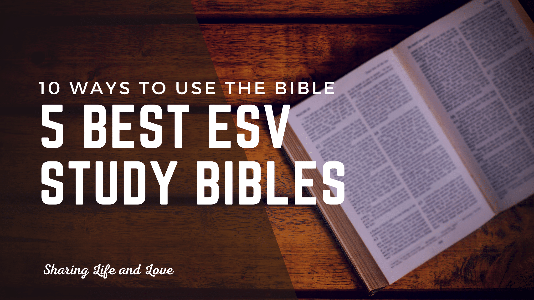 5 Popular ESV Study Bibles and 10 Unique Ways to Use the Bible ...