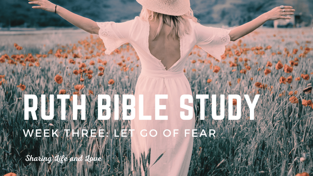 Ruth bible study week 3