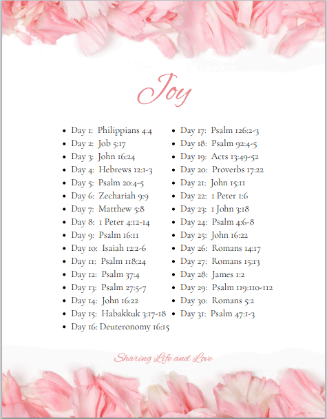 joy bible reading plan