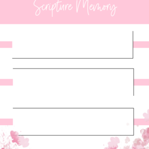 Scripture Memory Boxed Sheet (1 Page)