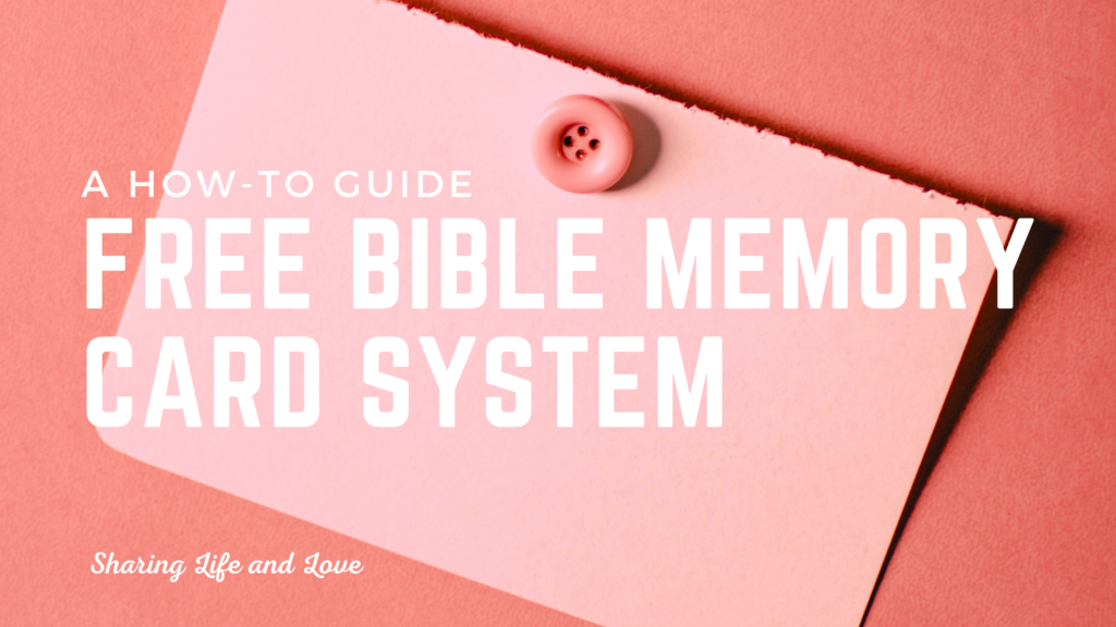 bible memory card system