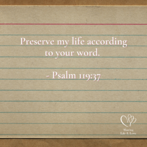bible memory card system